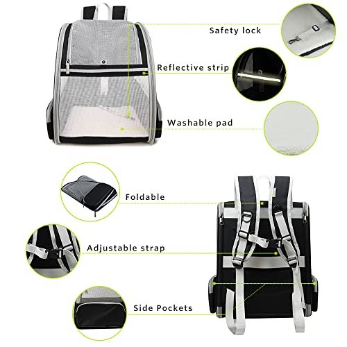 Best Dog Backpack Carrier For Small Dogs