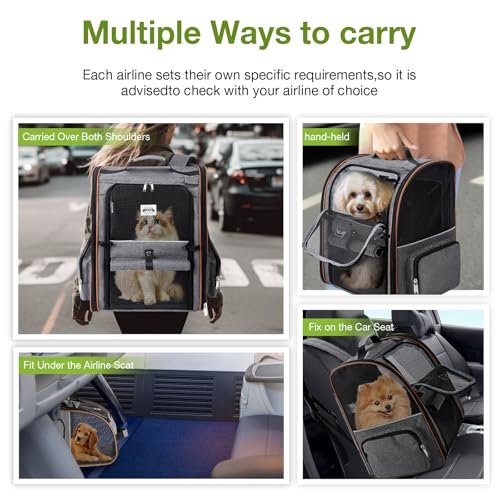 Best Dog Backpack Carrier For Large Dogs: Top Picks & Guide