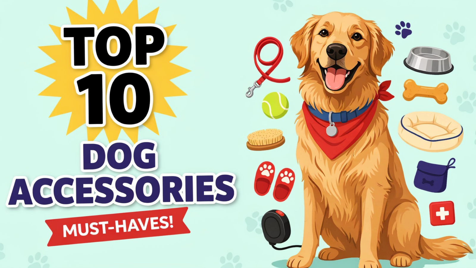 What Are The Top 10 Dog Accessories