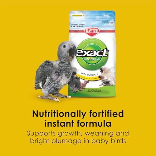 Best Food For Baby Birds