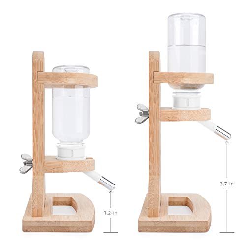 Best Water Bottle For Syrian Hamster: Ultimate Guide