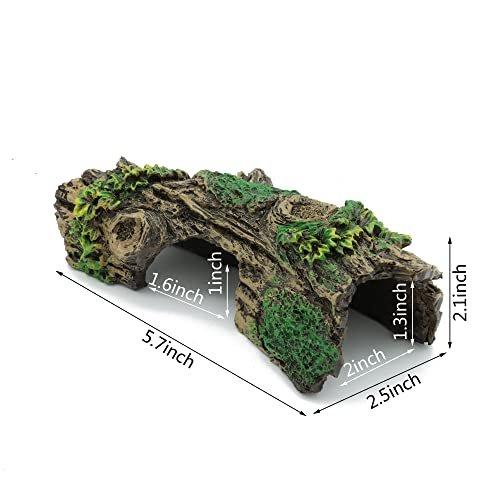 Best Play Accessories For Fish: Enhance Tank Enrichment
