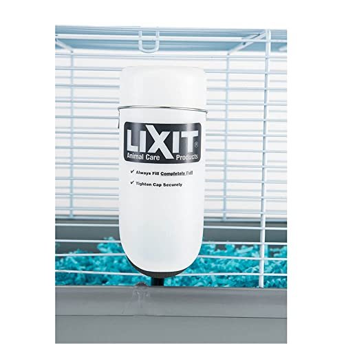 Best Water Bottles For Rabbits: Quiet Leakproof Options