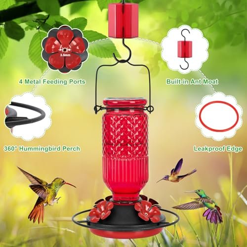 Best Hummingbird Feeders For Outdoors