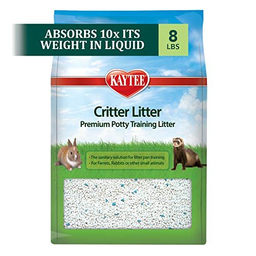 Best Litter For Ferrets: Guide To Clean Odor-Free Homes