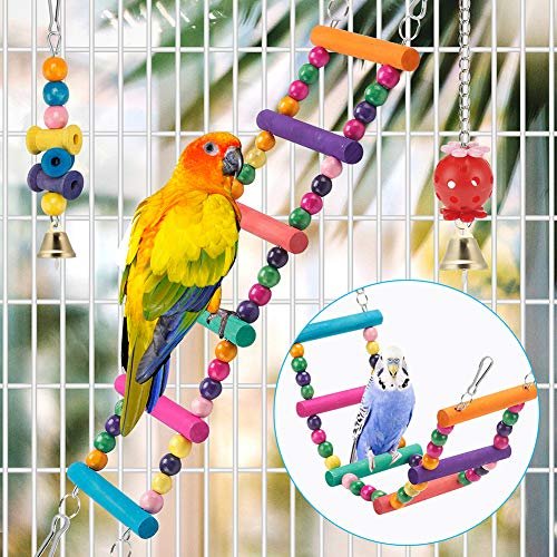 Best Play Accessories For Birds: Engaging Toys & Perches